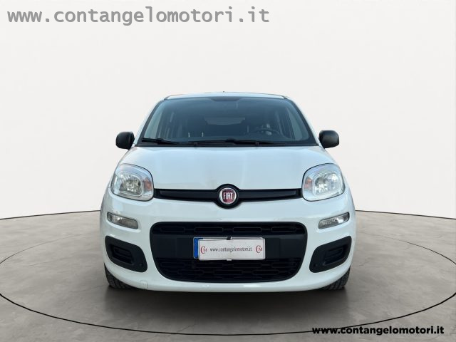 FIAT Panda 1.2 EasyPower Easy Immagine 0