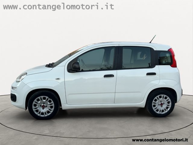 FIAT Panda 1.2 EasyPower Easy Immagine 2