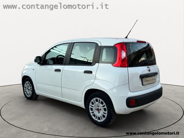 FIAT Panda 1.2 EasyPower Easy Immagine 3