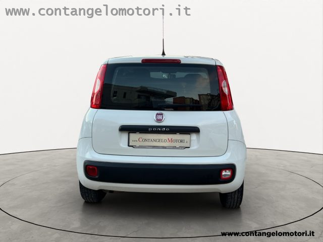 FIAT Panda 1.2 EasyPower Easy Immagine 4