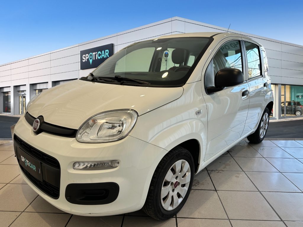 FIAT Panda 1.2 Easy Benzina usato