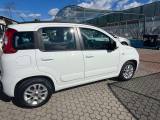 FIAT Panda Panda 1.3 mjt 16v Lounge 75cv E5+