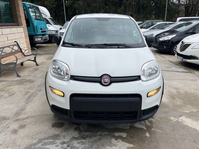 FIAT Panda 1.3 MJT 4x4 Immagine 1