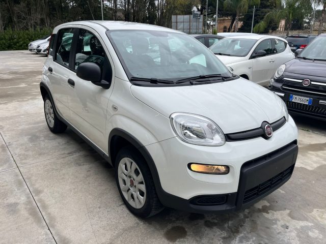 FIAT Panda 1.3 MJT 4x4 Immagine 2