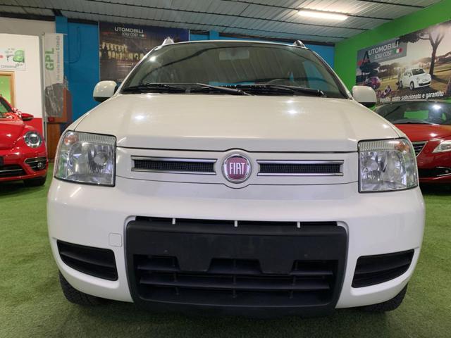 FIAT Panda 1.2 4x4 Climbing Immagine 1