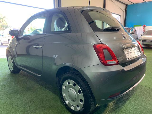 FIAT 500 1.2 Pop Immagine 3