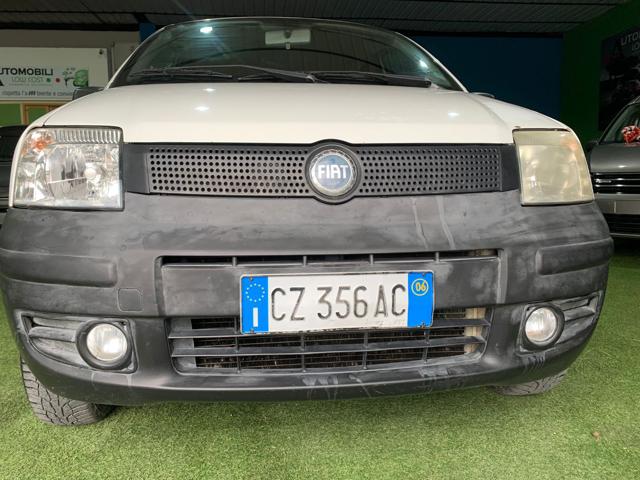 FIAT Panda 1.2 4x4 Immagine 1