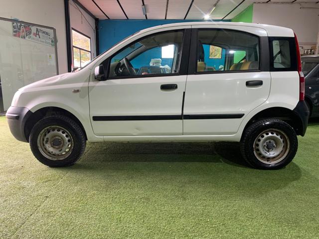 FIAT Panda 1.2 4x4 Immagine 4