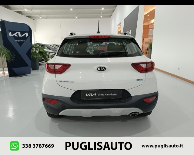 KIA Stonic 1.2 DPI ECO GPL Urban Immagine 4