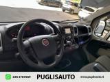 FIAT Ducato 33 2.0 MJT PLM-TM Furgone