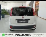 FIAT Panda 1.3 MJT 80 CV S&S Easy