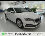 SKODA Octavia 2.0 TDI EVO SCR 150 CV DSG Style