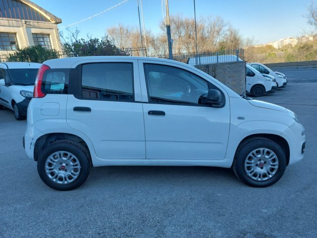 FIAT Panda 0.9 TwinAir Turbo Natural Power Lounge Immagine 4