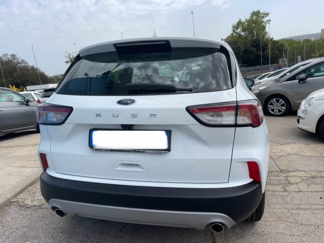 FORD Kuga 1.5 EcoBlue 120 CV aut. 2WD ST-Line Immagine 4