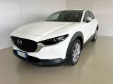 MAZDA CX-30 2.0  M Hybrid 2WD Executive 122CV 6 MT