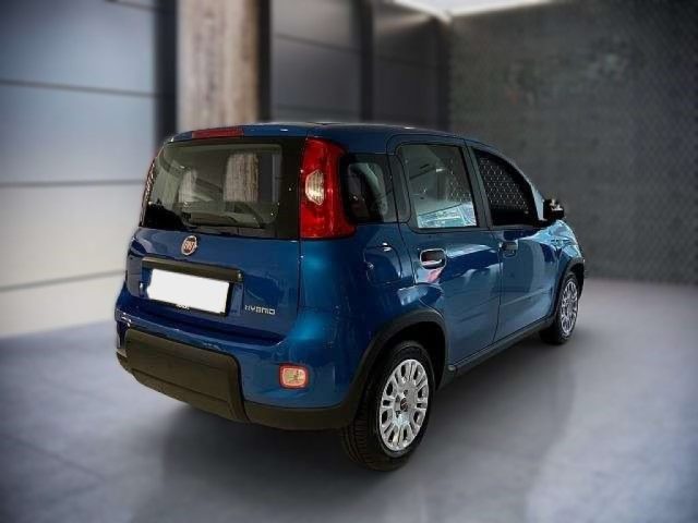 FIAT Panda FIAT PANDA  Hybrid Immagine 3