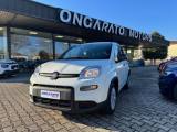 FIAT Panda 1.0 FireFly S&S Hybrid Pandina