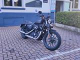 HARLEY-DAVIDSON 883 Iron NUOVA! SOLI 3.800KM! UNIPROPRIETARIO