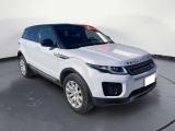 LAND ROVER Range Rover Evoque Range Rover Evoque 5 Porte 2.0 TD4 150cv Pure Bus