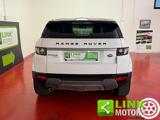 LAND ROVER Range Rover Evoque 2.2 Sd4 5p. Pure Tech Pack