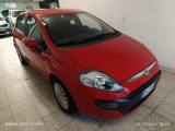 FIAT Punto Evo 1.3 Mjt 95 CV DPF 5 porte S&S Emotion