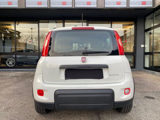 FIAT Panda 1.0 Hybrid 70 CV "POCHI KM" Immagine 4