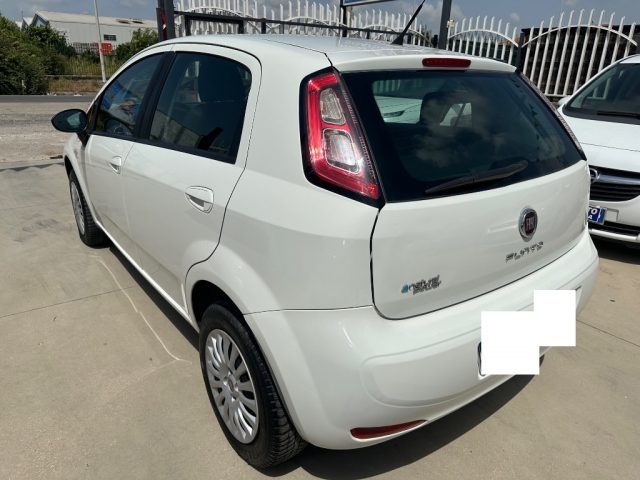 FIAT Punto 1.4 5P Natural Power Easy Immagine 3