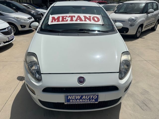 FIAT Punto 1.4 5P Natural Power Easy Immagine 2