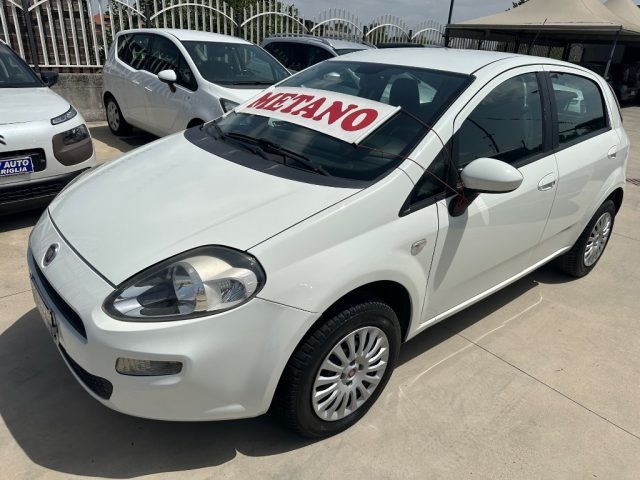 FIAT Punto 1.4 5P Natural Power Easy Immagine 1