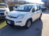 FIAT Panda 1.0 FireFly S&S Hybrid - OK NEOPATENTATI-