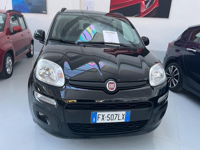 FIAT Panda 1.2 Lounge con promo "PANERO PLUS" Immagine 2