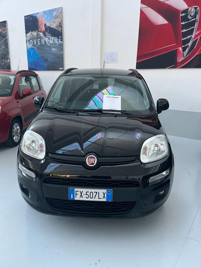 FIAT Panda 1.2 Lounge con promo "PANERO PLUS" Immagine 1