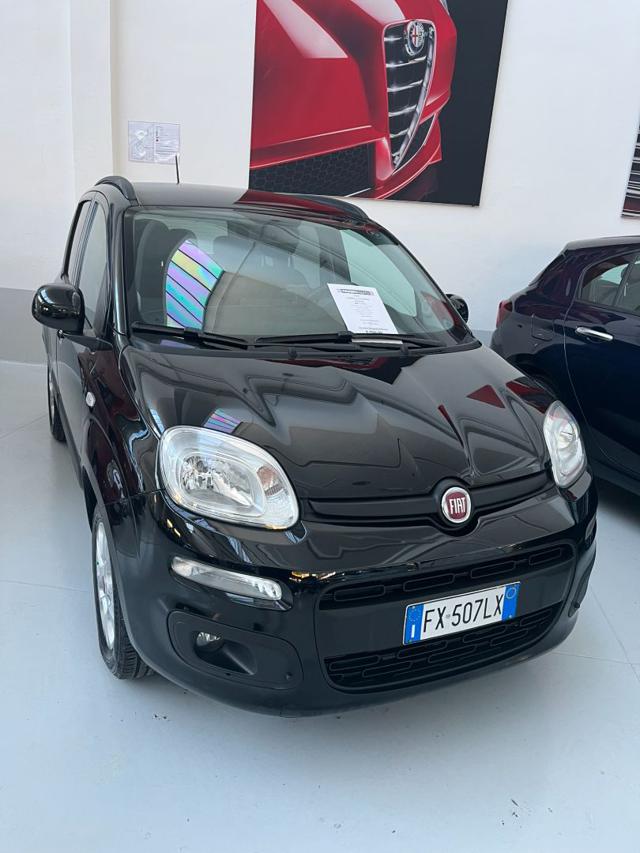 FIAT Panda 1.2 Lounge con promo "PANERO PLUS" Immagine 3