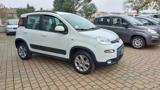 FIAT Panda 1.3 MJT 95 CV S&S 4x4  Euro 5B