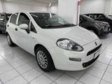 FIAT Punto 1.3 MJT II S&S 95 CV 5 porte Street