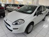 FIAT Punto 1.4 8V 5 porte Natural Power Street