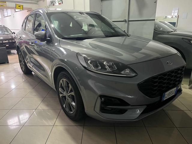 FORD Kuga 1.5 EcoBlue 120 CV aut. 2WD ST-Line Immagine 1