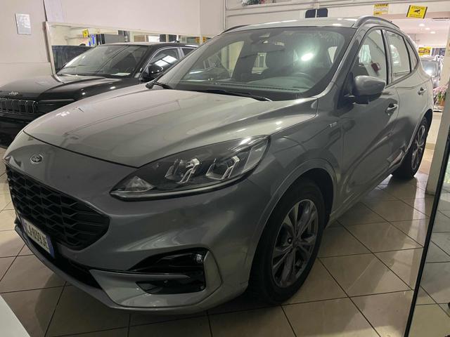 FORD Kuga 1.5 EcoBlue 120 CV aut. 2WD ST-Line Immagine 0