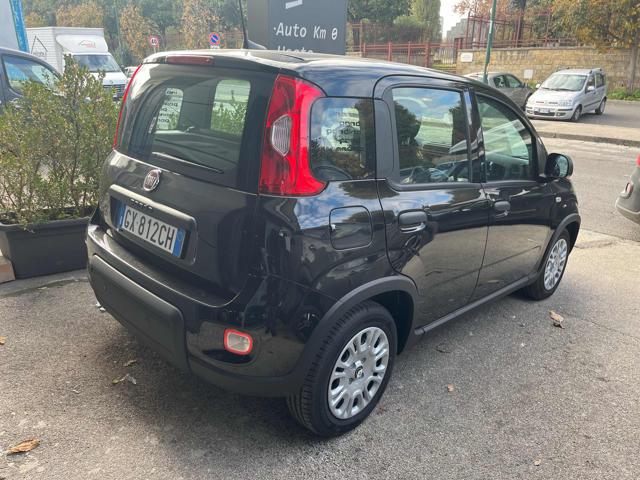 FIAT Panda 1.0 FireFly S&S Hybrid Immagine 2