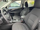 FORD Kuga 1.5 EcoBlue 120 CV aut. 2WD