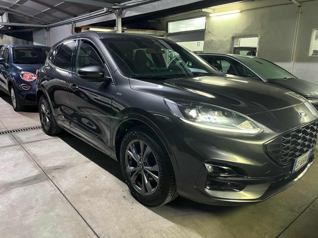 FORD Kuga 1.5 EcoBlue 120 CV 2WD ST-Line Immagine 2