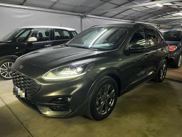 FORD Kuga 1.5 EcoBlue 120 CV 2WD ST-Line Immagine 0