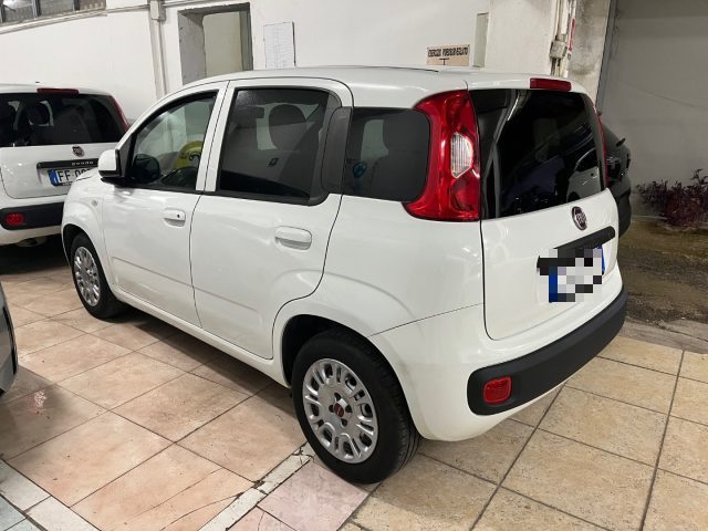 FIAT Panda 1.2 GPL 69CV Immagine 1