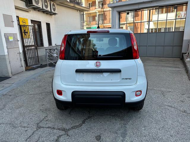 FIAT Panda 1.0 FireFly S&S Hybrid Immagine 4