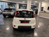 FIAT Panda 1.0 FireFly S&S Hybrid City Cross