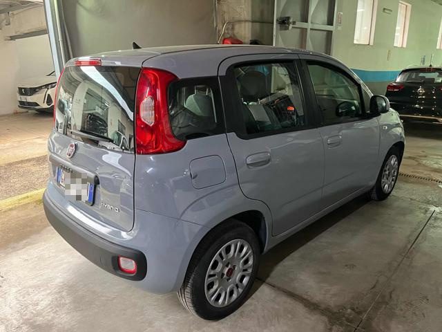 FIAT Panda 1.0 FireFly S&S Hybrid Immagine 1