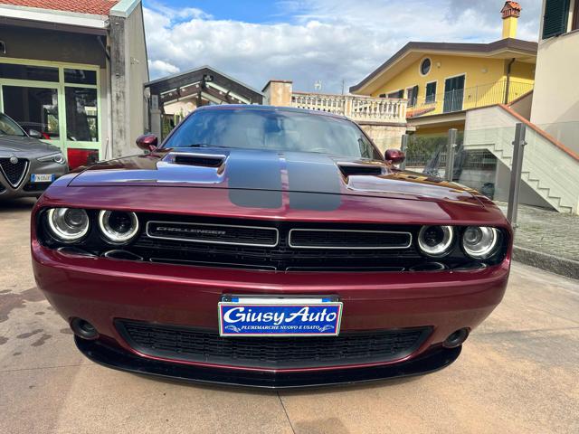 DODGE Challenger SXT PLUS Immagine 1