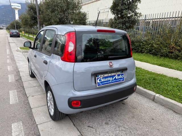 FIAT Panda 1.2 EASY Immagine 3