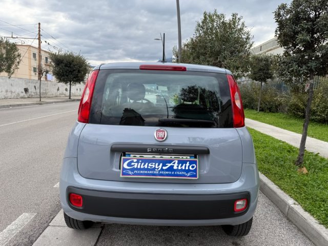 FIAT Panda 1.2 EASY Immagine 4