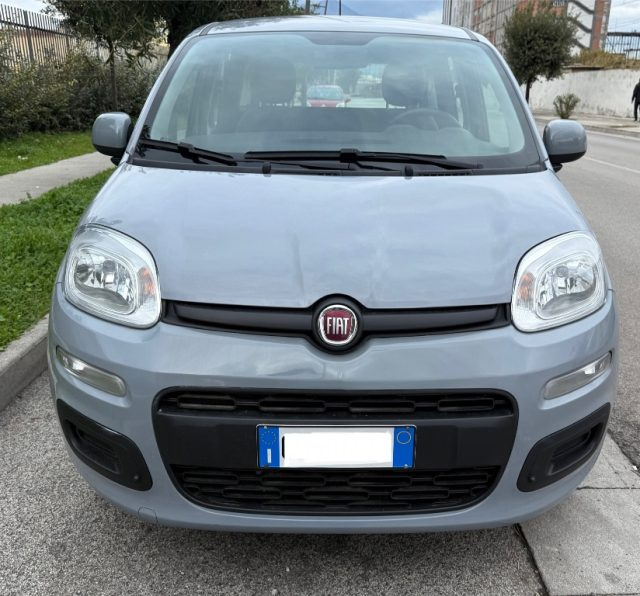 FIAT Panda 1.2 EASY Immagine 2